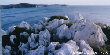 白崎海岸　-日本のエーゲ海-の写真和歌山県公式観光サイトより